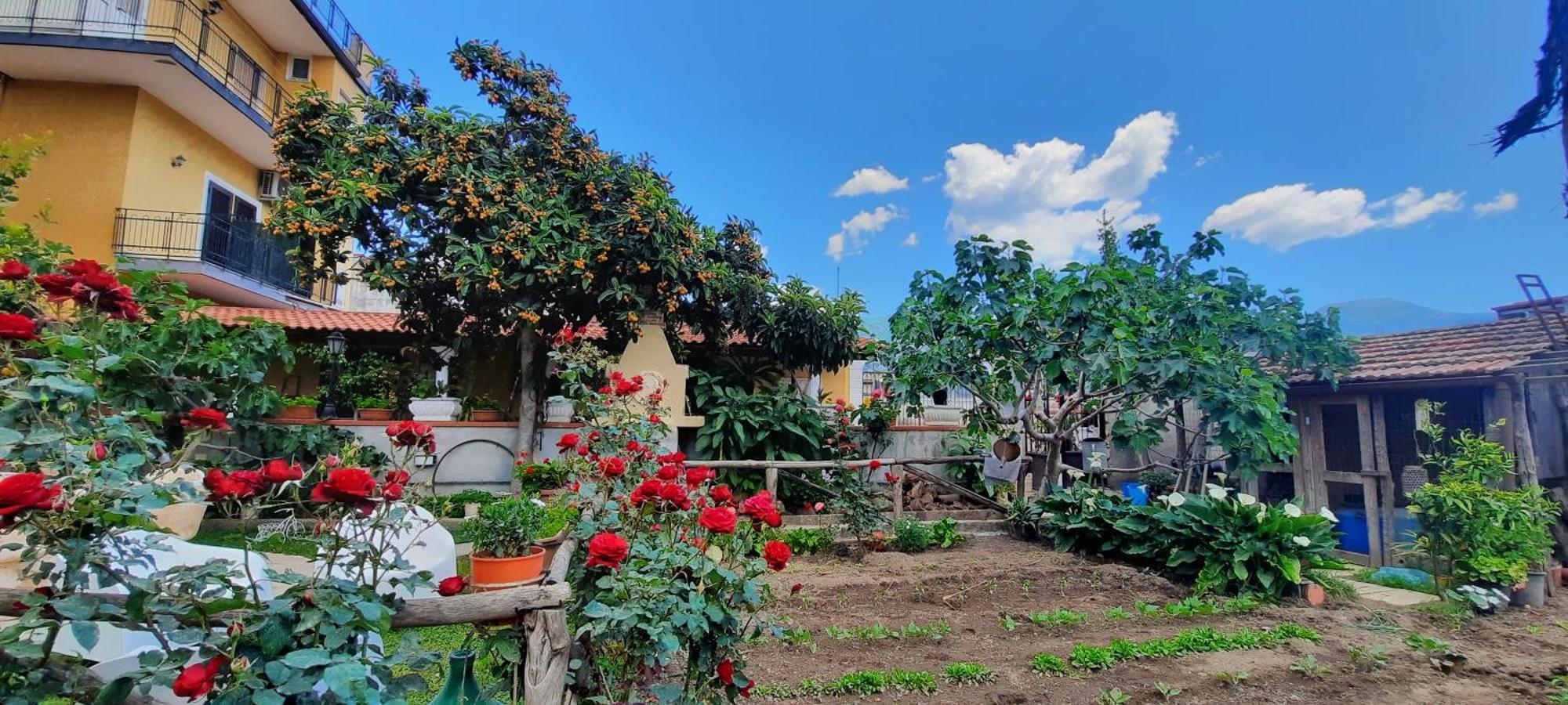 Buonocore Rooms Santa Maria La Carità Εξωτερικό φωτογραφία
