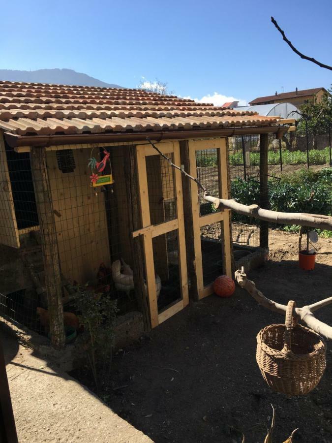 Buonocore Rooms Santa Maria La Carità Εξωτερικό φωτογραφία