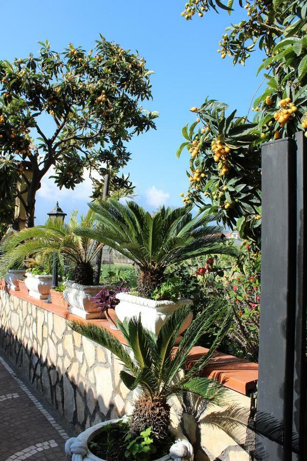 Buonocore Rooms Santa Maria La Carità Εξωτερικό φωτογραφία